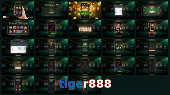 Main screen of Tiger888 bet page for PK players